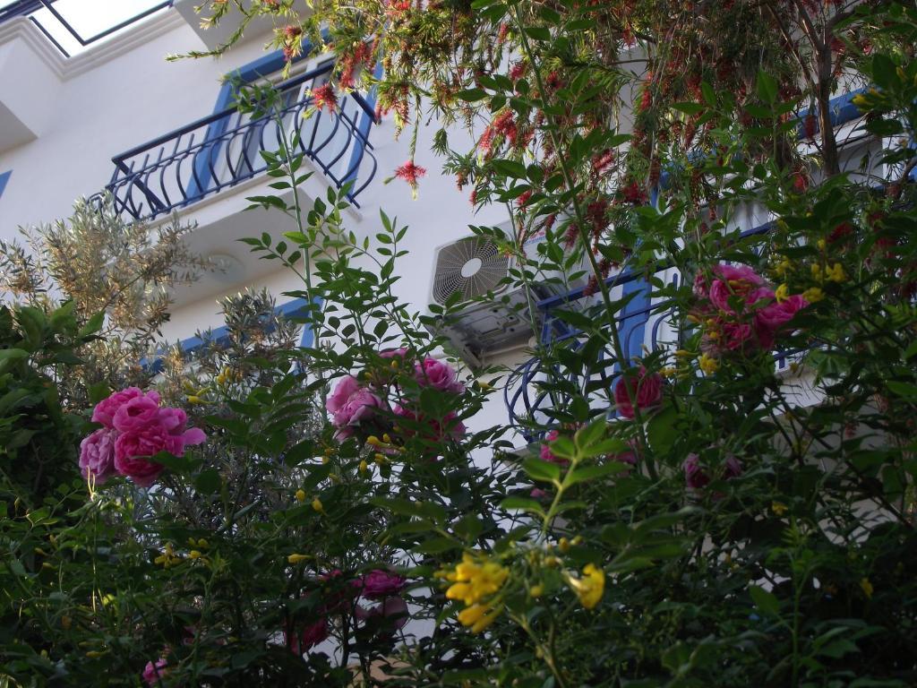 Miramar Pansiyon Κας Εξωτερικό φωτογραφία
