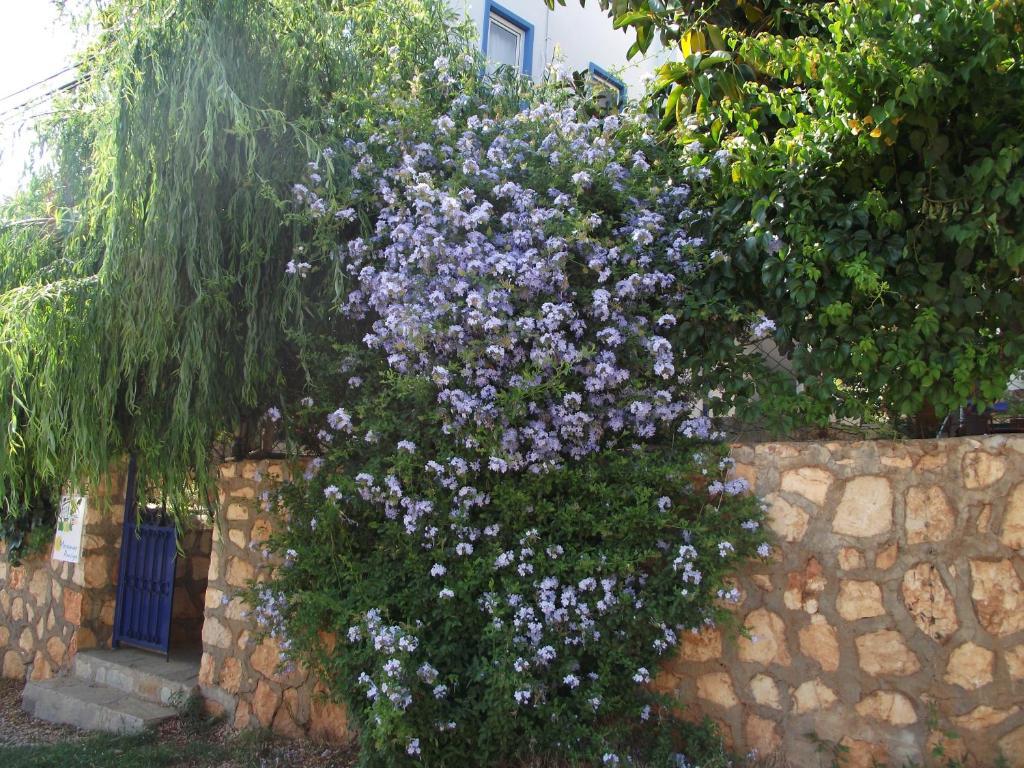 Miramar Pansiyon Κας Εξωτερικό φωτογραφία